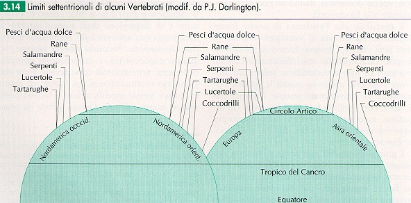 LIMITI TEORICI DELL AREALE La temperatura