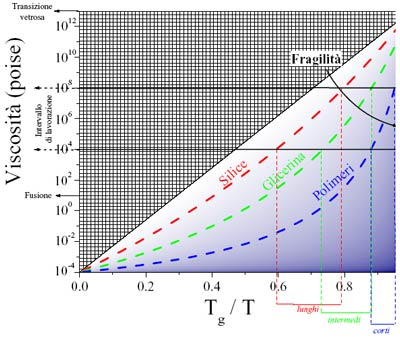 La fragilità di un liquido è data dalla pendenza in prossimità della temperatura di transizione vetrosa (Tg/T=1).