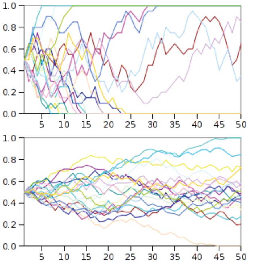 Deriva genetica La frequenza p t di A 1 al tempo t è una variabile random E(p t ) = p 0 non cambia col tempo!