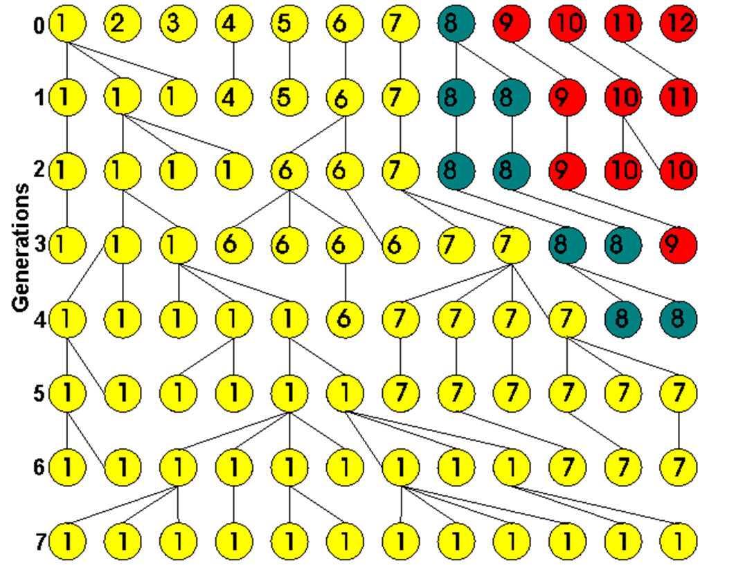 Sostituzione genica Sostituzione per deriva Dopo un certo numero di generazioni che dipende dalla dimensione