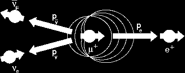 sonda locale magnetica (sensibilità momenti: 10-4 μ b ) muoni polarizzati impiantati nel campione creati dal decadimento di π + precedono attorno campo esterno o campo locale μ + e + + ν e + ν μ