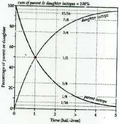 D = N 0 -N=N 0 (1-e -λt ) Gli elementi