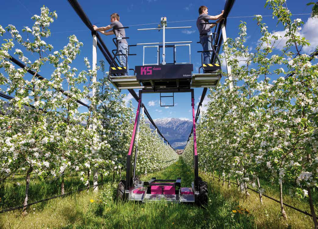 Grazie al sistema brevettato, le ceste per le cime vengono automaticamente calate dall alto e svuotate.