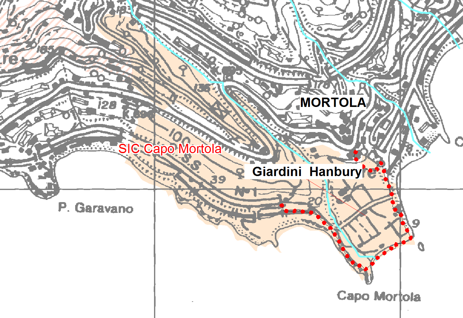 GRUPPO DI ATTIVITA 3 - INTERVENTI, PROGETTI E AZIONI SU SITI