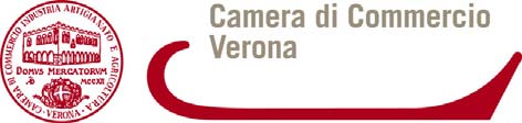 CONCORSO ENOLOGICO CAMERA DI COMMERCIO INDUSTRIA ARTIGIANATO E AGRICOLTURA VERONA WINE TOP 2011 REGOLAMENTO Art.