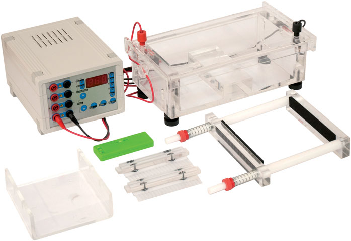 (fingerprinting, PCR, ecc.