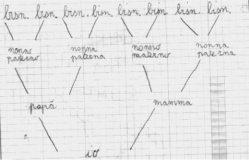 Chiedi ai tuoi genitori di compilare insieme a te l'albero genealogico della tua famiglia, per avere informazioni utili al lavoro che stiamo per