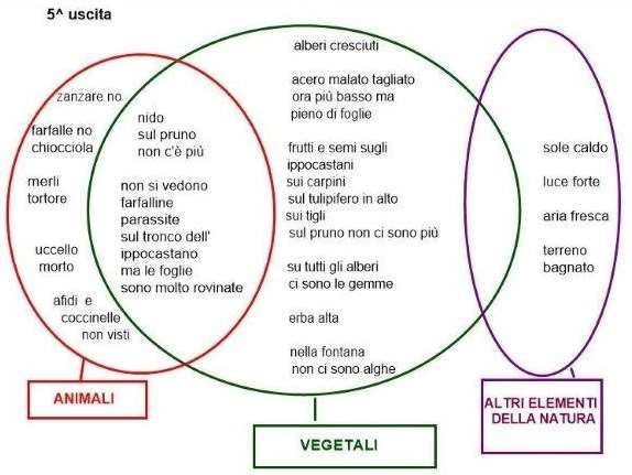 "Il giorno dopo un forte temporale siamo usciti ad osservare i cambiamenti del giardino che osserviamo da un anno. La luce del Sole è forte, l'aria è fresca, il terreno bagnato.