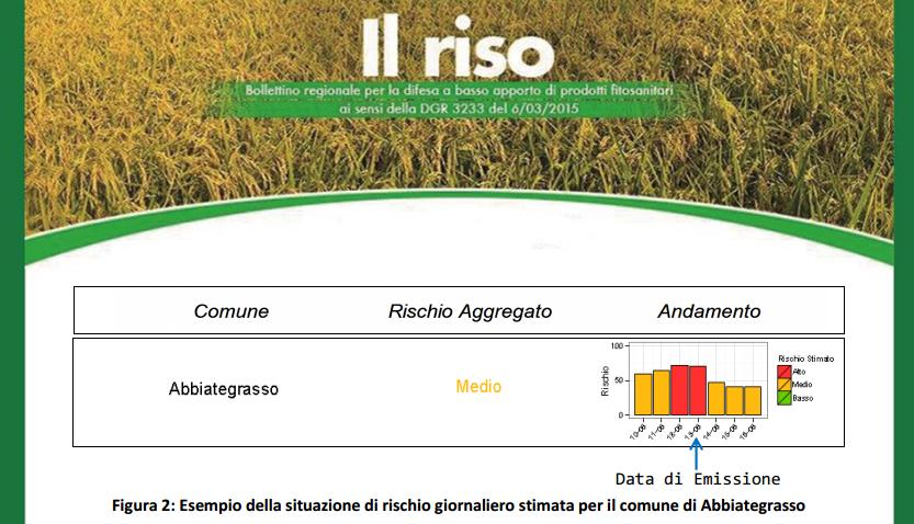 Bollettini di