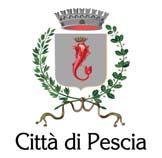 COMUNE DI PESCIA PROVINCIA DI PISTOIA SERVIZI TECNICI A.O. Urbanistica ed Edilizia privata Variante al vigente PRG per la sistemazione e messa in sicurezza mediante rotatoria della intersezione