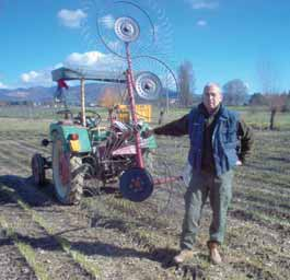 Porro cinese: C.A.C. in Umbria Gabrio Gustinelli è vicepresidente di Agricooper, realtà cooperativa della provincia di Perugia (località Pistrino Citerna), associata a C.A.C. In Umbria C.A.C. coltiva poco meno di 100 ettari di colture da seme, ma tutte colture di pregio, con una eccellenza che è il porro orientale.