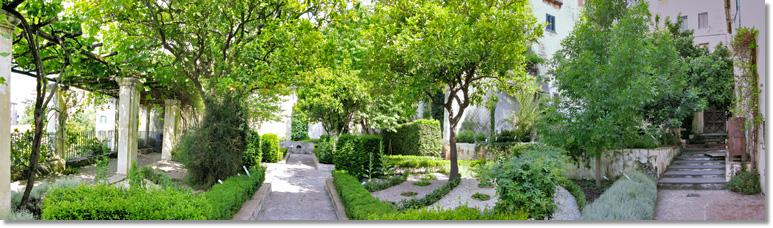 IL GIARDINO DELLA MINERVA Il Giardino della Minerva si trova nel cuore del centro antico di Salerno, in una zona denominata nel medioevo Plaium montis a metà strada di un ideale percorso che si