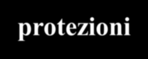 REGOLAMENTO ITALIANO - protezioni Art. 2.9.01 N.a.