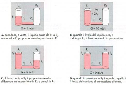 Quindi non è importante il valore assoluto della pressione ma il gradiente pressorio. Questo fattore farà aumentare o diminuire il flusso in maniera direttamente proporzionale.