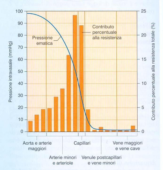 La Resistenza di conduzione dei vasi è disomogenea nel circolo sanguigno; infatti, come riportato in tabella, i differenti vasi oppongono una diversa resistenza di conduzione al flusso; la resistenza