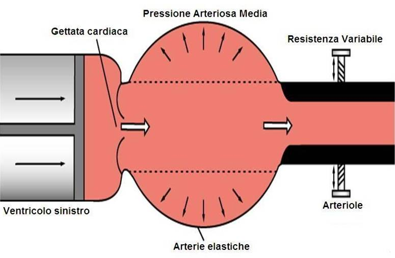 Pressione arteriosa media Resistenze