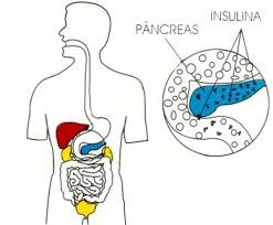 IL DIABETE, QUESTO SCONOSCIUTO OVVERO: La Malattia dolce che rischia di rendere amara la vita! Ma cosa è davvero il Diabete?