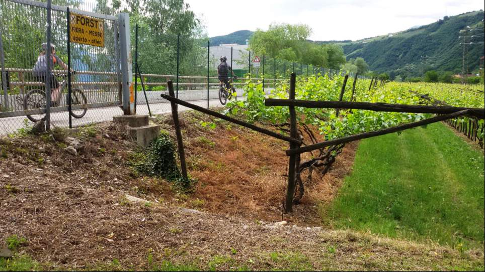 pista ciclabile lungo il fiume Isarco