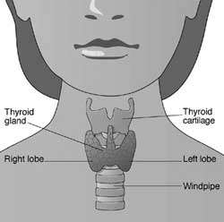Spettro sincrono =50nm Campione di tessuto tiroideo da analizzare: 1,0 0,8 0,6 0,4 0,2 0,0 1,0