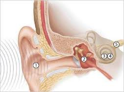 Onde sonore Onde sonore ossia onde di pressione (meccaniche) Necessitano di materia (non si propagano nel vuoto) Comportano compressione e rarefazione del mezzo su cui si propagano (a differenza