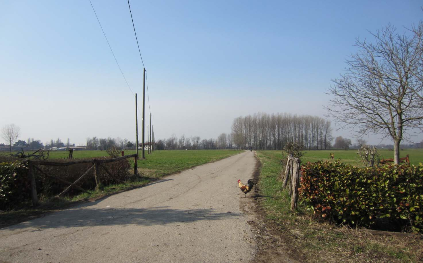 Obiettivi per il Pgt - Tutelare le attività agricole e zootecniche - Tutelare il sistema dei fontanili e il sistema irriguo - Evitare l ulteriore espansione residenziale con il rischio di formare