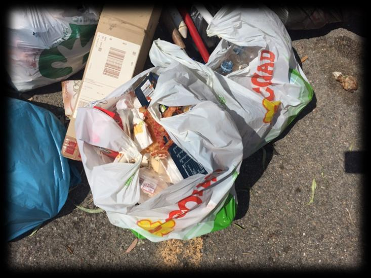 Luglio 2016 Latte Dolce Abbandono di numerosi sacchetti di
