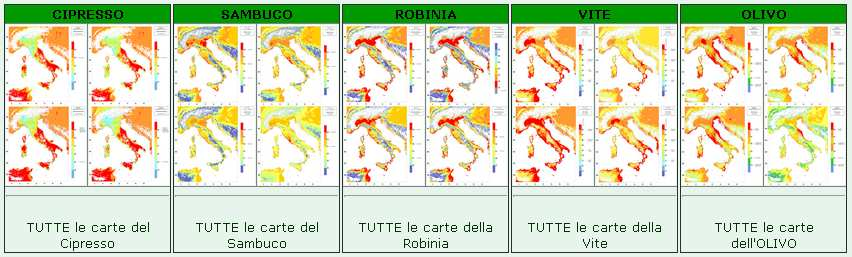 TUTTI I