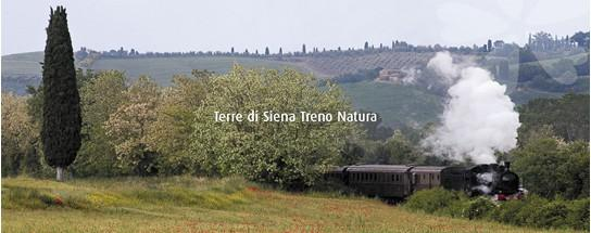 08/09 OTTOBRE Raduno treno natura Siena e Vivo D'Orcia SAGRA DEL FUNGO PORCINO Sapori e profumi dei boschi amiatini Sabato mattina sistemazione dei mezzi nel parcheggio in Viale Achille Sclavo, a