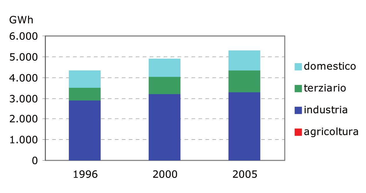 produttive; aumenta il peso del settore terziario, che nel 2004 è diventato il secondo settore di maggior consumo con il 20% circa del totale; il medesimo settore, inoltre, ha avuto nel decennio un