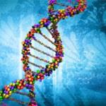 Controllo genetico della risposta ai farmaci attivi sul SNC Target farmacogenetici Geni che codificano per gli enzimi del metabolismo