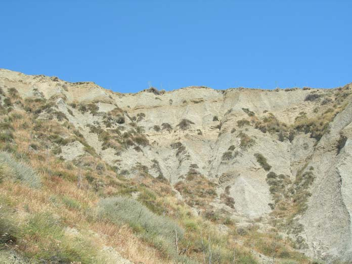 calcarenitica di dimensioni variabili provenienti dall erosione del cap roccioso che costituisce la sommità del terrazzo marino sovrastante.