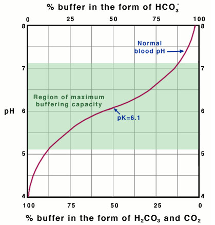 CURVA DI TITOLAZIONE DEL TAMPONE BICARBONATO CO 2 (gas) D CO 2 (aq) + H 2 O D H 2 CO 3 D HCO 3 + H + A ph = 7.