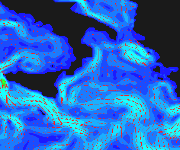 Dati e metodi: Sono stati utilizzati i dati di ri-analisi per il periodo 2001-2010 forniti dal modello numerico per il Mar Mediterraneo del progetto MyOcean su grigliato regolare con passo di griglia