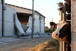 Misura 5.2 del PSR per il ripristino delle strutture agricole danneggiate dall'evento sismico che, dal 24 agosto scorso, sta interessando il Centro Italia.