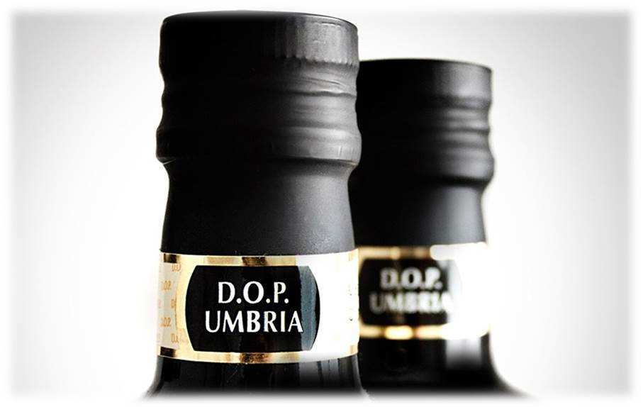 OLIO DOP, SI' AL MONOCULTIVAR AL MONOCULTIVAR L'ETICHETTA DELL'OLIO DOP UMBRIA PUO' RECARE LA SCRITTA MONOCULTIVAR MORAIOLO Il Consorzio di Tutela dell'olio Dop Umbria ha informato i propri