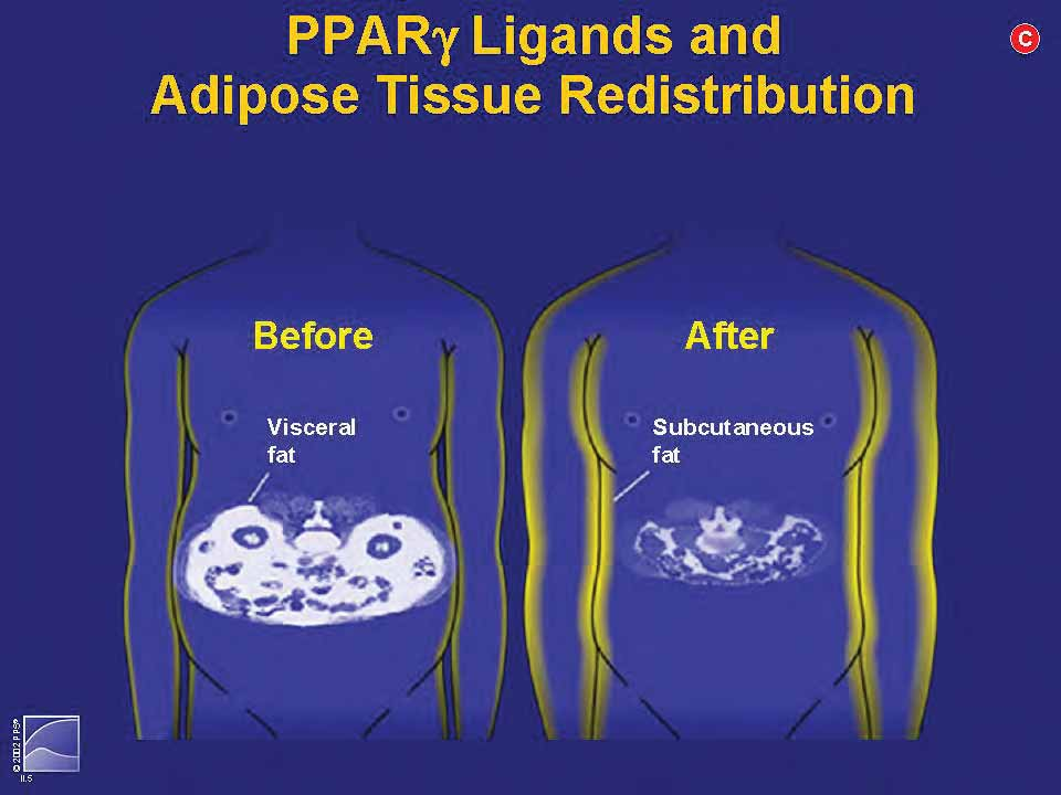 PPAR Ligands and Adipose