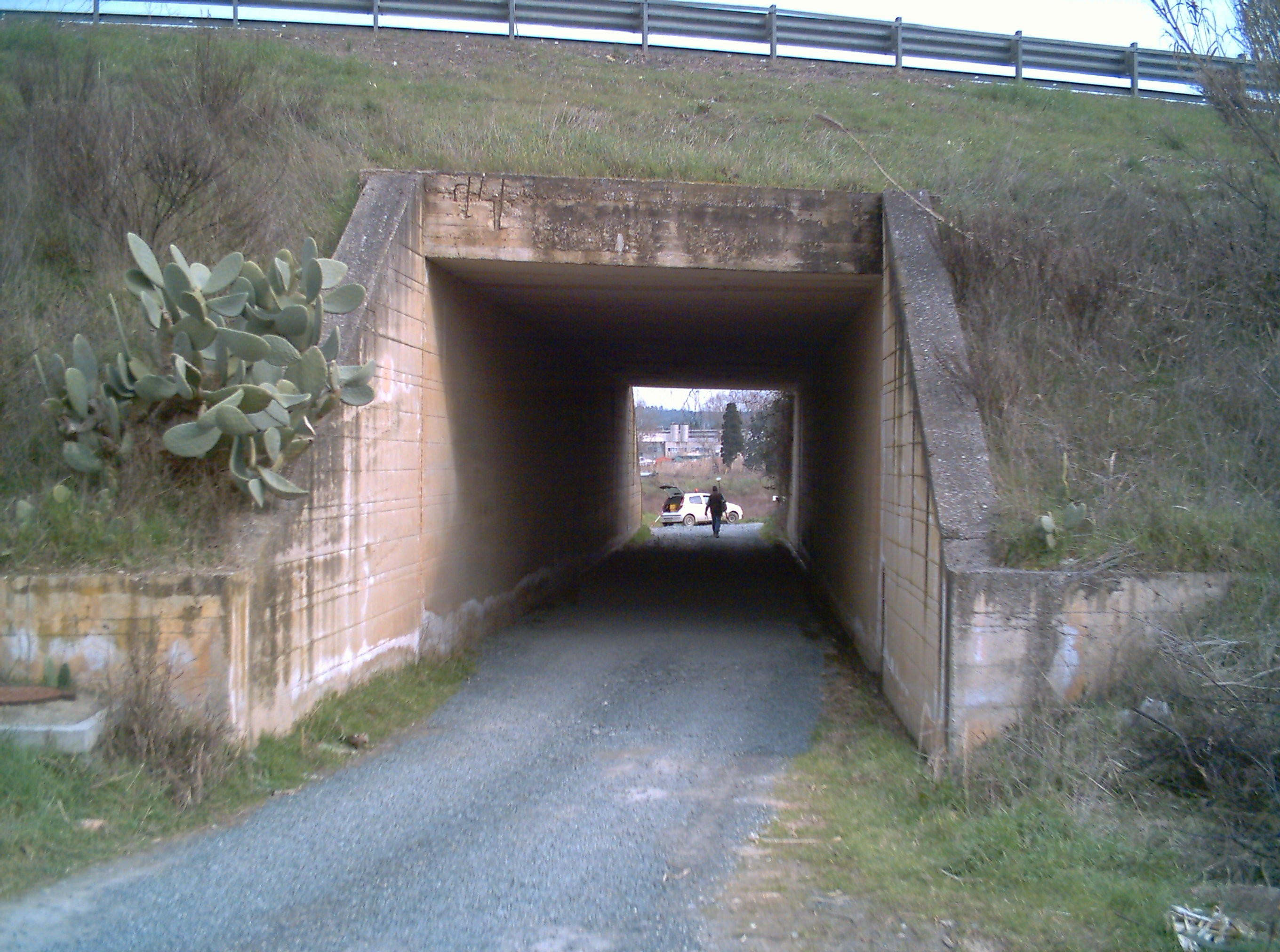 Immagine 1 Immagine 2 Immagine 3 0130 Il civico deve essere rilevato sul posto ed indicherà la posizione planimetrica del centro dell'accesso (per accesso si intende dove è collocata la targhetta del