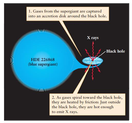 Il primo candidato: Cygnus X1 Storicamente il primo candidato a Buco Nero e stata la sorgente X Cygnus X1 attorno alla supergigante