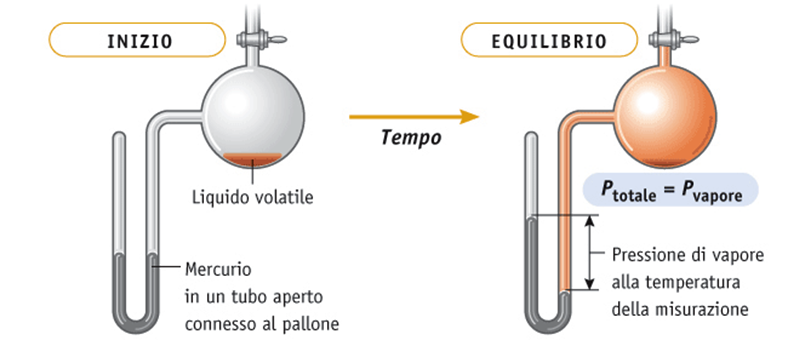 La tensione di vapore Se si pone un liquido volatile in un recipiente chiuso, esso evapora fino a quando la velocità di evaporazione uguaglia la velocità di