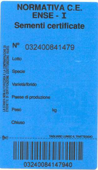 ENSE/TECNICO ACCREDITATO ENSE/TECNICO