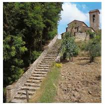 Visiteremo le celebri terre del Gallo Nero, i pittoreschi borghi e le umili Pievi di questa magnifica