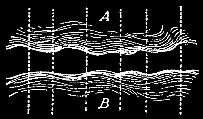 linguistico proietta le proprie classificazioni.