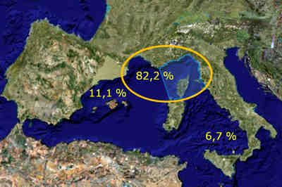 Figura 5 - Percentuale di collisioni nelle diverse aree del Mar Mediterraneo occidentale (da Panigada et al. 2006).