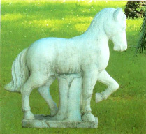 Cavallo furia alt.cm.53x24x24 alt.cm.60x70x24 alt.