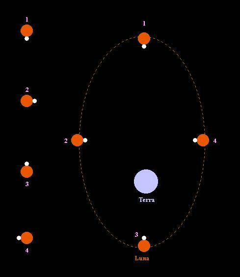 Rotazione e rivoluzione Il periodo di rotazione e quello di rivoluzione sono uguali, questo porta come conseguenza che la Luna ci mostra sempre la stessa faccia, in