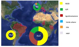 rispetto agli anni precedenti Valore globale del mercato volontario 2013: 140 M US$ Prezzi medi a livello