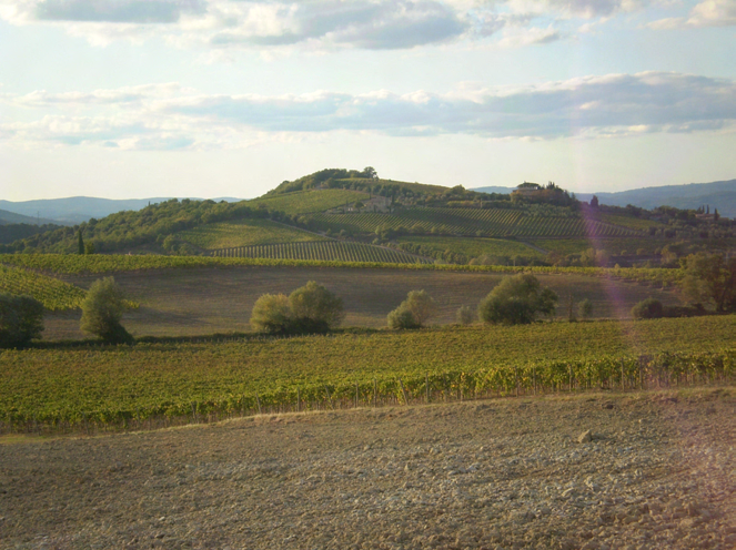 4. ad alcuni processi di trasformazione delle B2 economie agricole corrispondono processi di creazione di nuovi paesaggi Per questo aspetto sono esemplificativi i recenti paesaggi della vitinicoltura