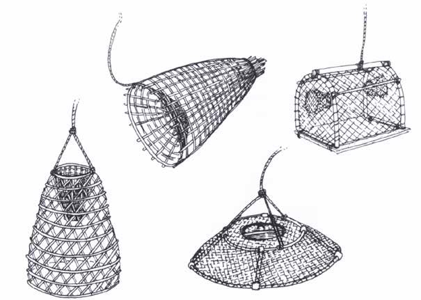 2. IL TERRITORIO DELLA FASCIA COSTIERA VENEZIANA nassini per lumachine: un altra attività che prevede l impiego di trappole (nassini o cestelli) è rappresentata dalla pesca di Nassarius mutabilis
