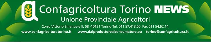 Torino, 11 dicembre 2015 Numero 47 Alessandro Moschietto neo presidente dei Giovani Agricoltori di Torino Alessandro Moschietto, 26 anni, di Giaveno, è il nuovo presidente dell ANGA di Torino.
