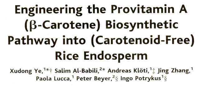 GOLDEN RICE Science vol.